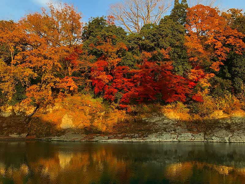 画像：秋の長瀞渓谷