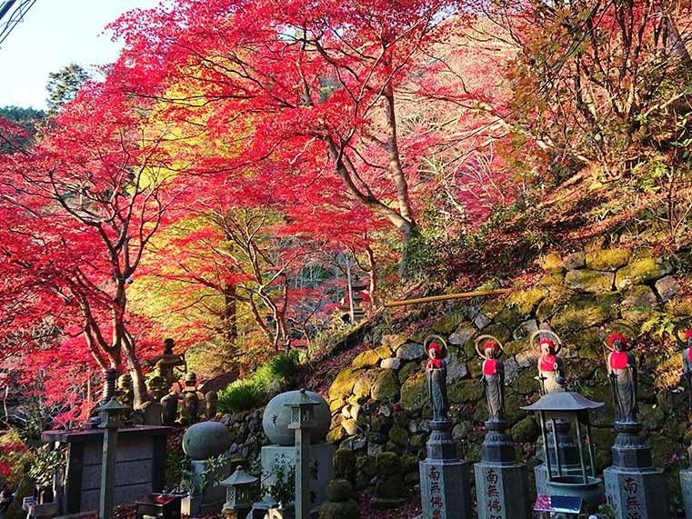 画像：大山寺の紅葉トンネル