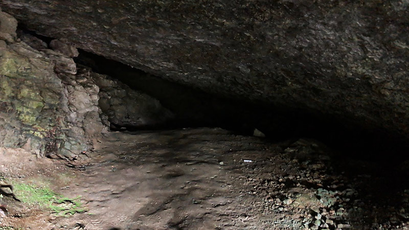 画像：猪目洞窟の内部