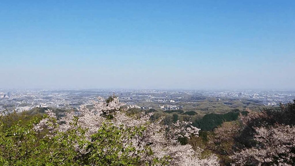 高尾山の桜と景色