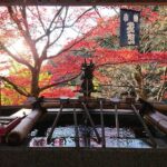 大山の観光スポット15選！大山阿夫利神社の歴史や見どころ、紅葉などをご紹介