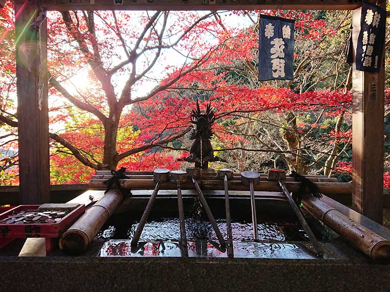 大山の観光スポット15選！大山阿夫利神社の歴史や見どころ、紅葉などをご紹介のアイキャッチ画像
