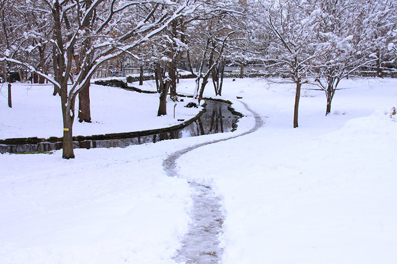 画像：冬の札幌大学