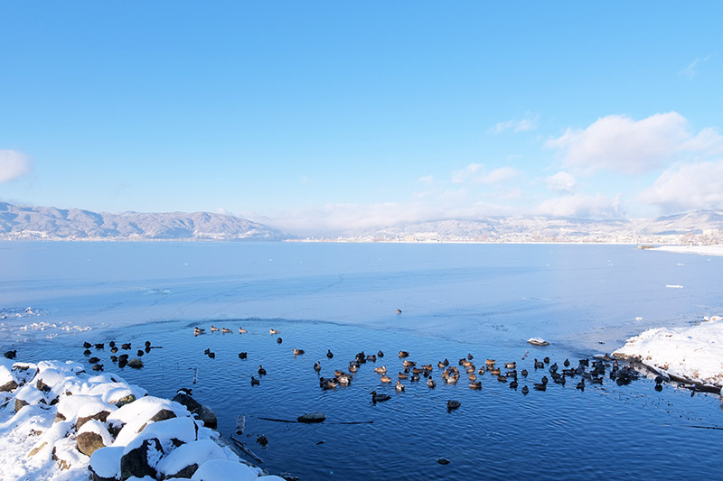 画像：冬の諏訪湖